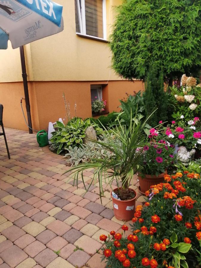 U Eli I Jurka Apartment Sztutowo Exterior foto